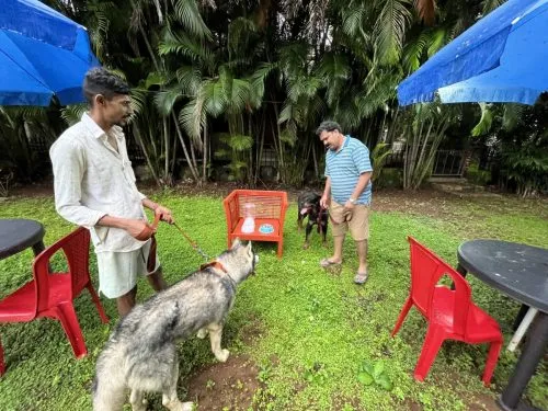 Splash & Woof Pet Resort