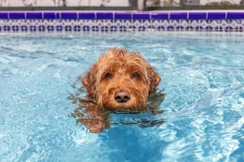 gettyimages-1387876897-612x612-1