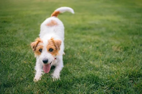 gettyimages-1437735858-612x612-1