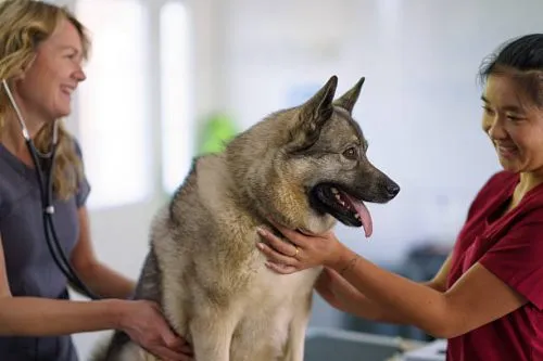 gettyimages-2218025441-612x612-1